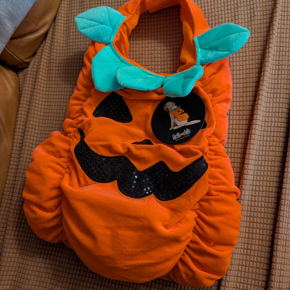 Brand New Orange Pumpkin Dog Costume Size L